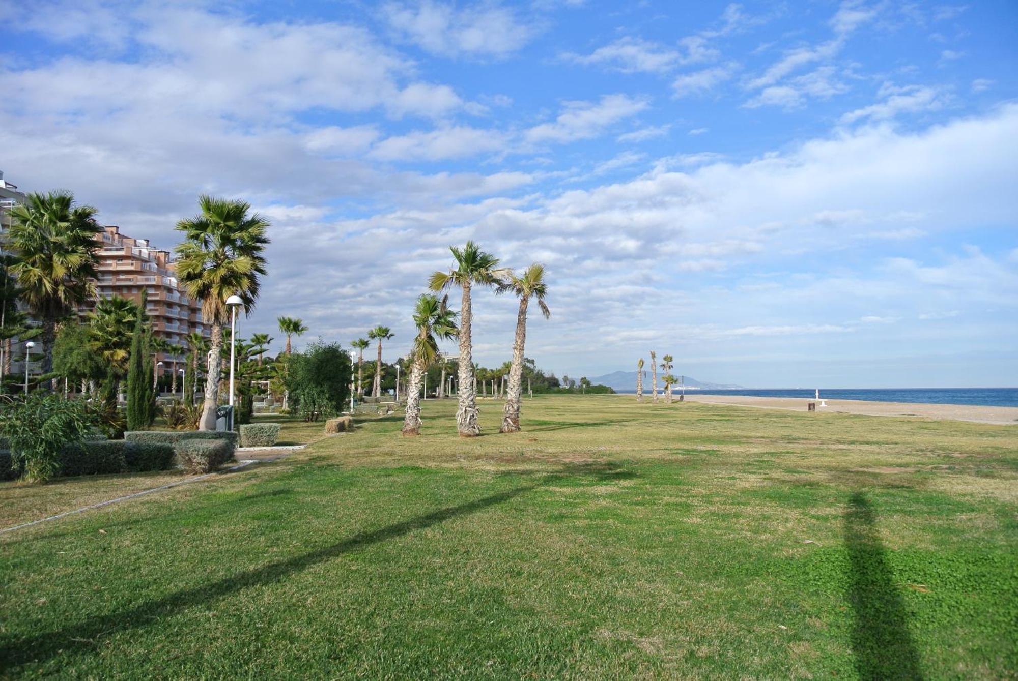 Apartamentos Danesp-Playa De Les Amplaries Marina Dor- Frontales Al Mar Oropesa del Mar Exterior photo